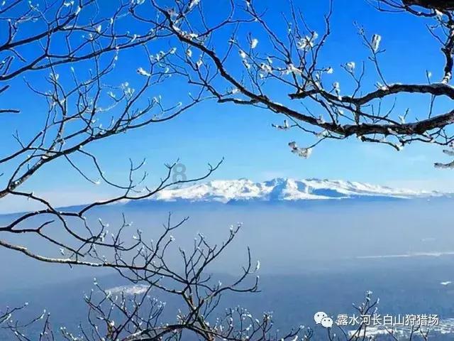 肖官营镇：瓜农嫁接忙