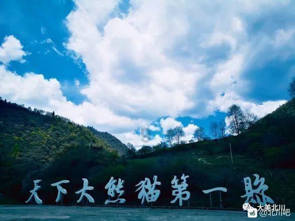 小猫钓鱼游戏龙王版有船