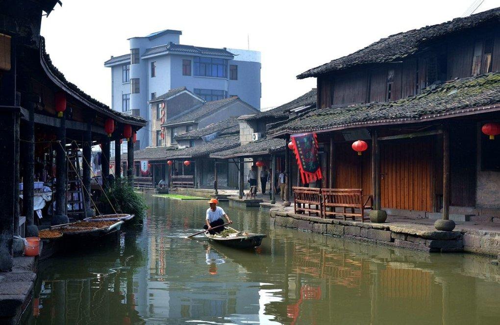 动物帮帮忙保卫家园