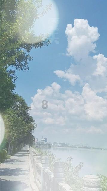 救援大嘴鸟